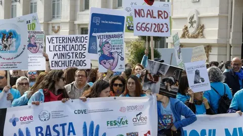 Protesta contra la ley 666/2023