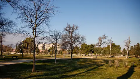 Parque T&iacute;o Jorge. Foto: Pilar &Aacute;lvarez.