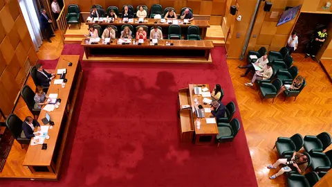 Pleno del Ayuntamiento. Foto: Pilar &Aacute;lvarez