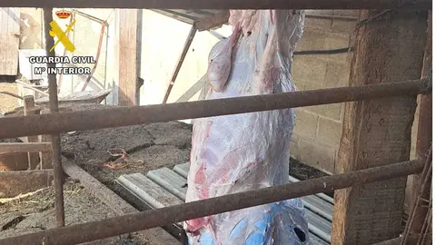 Cuatro hombres fueron sorprendidos en una finca de Zaragoza sacrificando a un cordero sin los permisos necesarios el pasado 9 de junio.