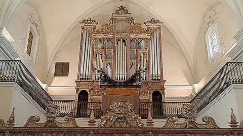 &Oacute;rgano de Cella
