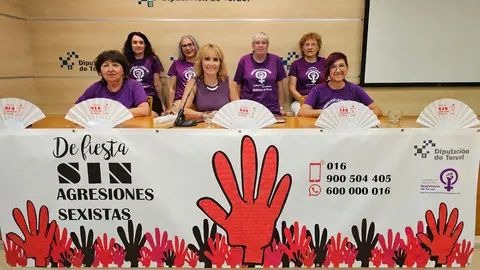 Desde la instituci&oacute;n han enviado un comunicado a todos los ayuntamientos turolenses informando sobre la propuesta