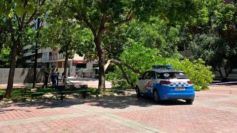caida-rama-arbol-actur-policia-bomberos