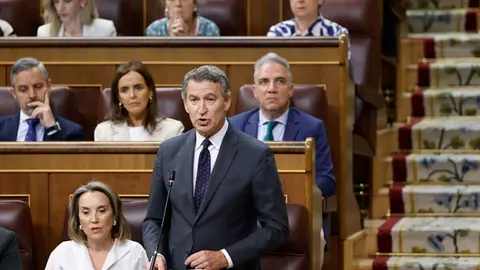 feijoo