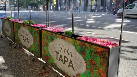 3-DO&Ntilde;A-TAPA