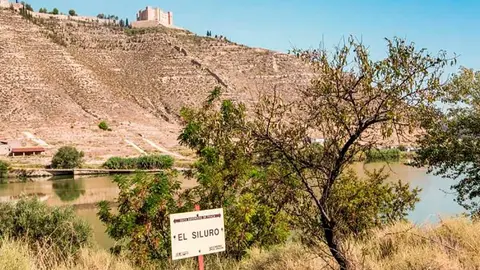 Mequinenza-1
