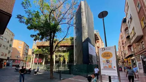 delicias
