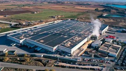 litera-meat-planta-