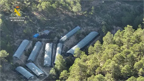 Los detenidos han sido enviados a prisi&oacute;n provisional. Foto: Guardia Civil