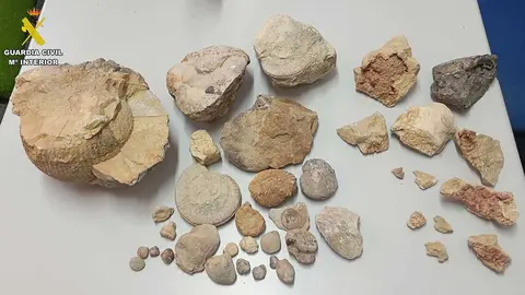 La Guardia Civil ha localizado hasta 40 piezas de f&oacute;siles y minerales extra&iacute;dos ilegalmente en Albarrac&iacute;n.