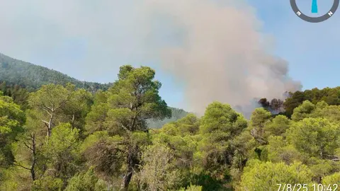 Imagen de archivo. Peque&ntilde;o incendio este verano en El Parizal de Beceite. Foto: Infoar