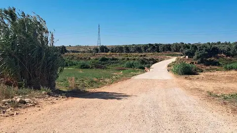 El camino agr&iacute;cola que se est&aacute; utilizando no cuenta con se&ntilde;alizaci&oacute;n y es peligroso. Foto. A.D.