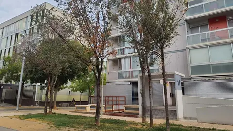 arboles-valdespartera-tala-plaga-escarabajos-1