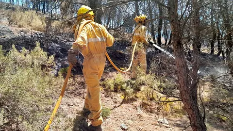 Bomberos durante un incendio. Foto: Arag&oacute;n Digital