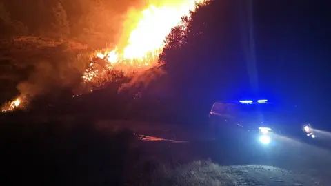 Incendios. (Foto: Ministerio del Interior)