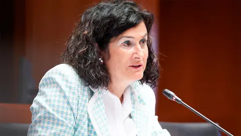 La portavoz de CHA, Isabel Lasobras. Foto: Cortes de Arag&oacute;n