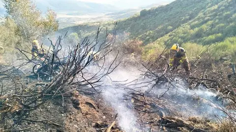 Infoar vuelve a enviar efectivos para combatir los incendios en Castilla y Le&oacute;n. Fuente: Infoar