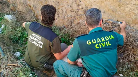 La chispa de una radial caus&oacute; un incendio en Abiego (Huesca) que ha concluido con la investigaci&oacute;n a cuatro hombres. Fuente: Guardia Civil