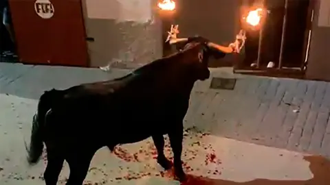 Un toro de fuego muri&oacute; desangrado el pasado mes de agosto en Los Fayos, un pueblo de Zaragoza.