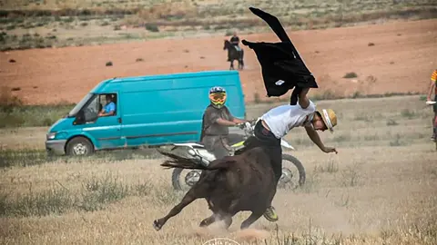 El toro se hab&iacute;a fugado el pasado s&aacute;bado durante el Encierro Campero de H&iacute;jar (Teruel). Foto: Ayuntamiento H&iacute;jar