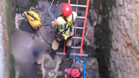 En el rescate cerca del Monasterio de Veruela han intervenido Greim de Tarazona, Bomberos de la DPZ y voluntarios de Borja. Fuente: DPZ