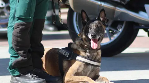 patrona-guardia-civil-60
