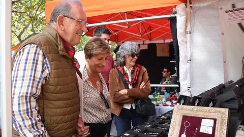 feria-artesan&iacute;a-plz-los-sitios-22