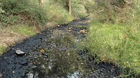 As&iacute; luce la zona afectada en el r&iacute;o Cinca. Foto: Ecologistas en Acci&oacute;n