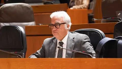 El consejero de Agricultura en el Gobierno de Arag&oacute;n, Javier Rinc&oacute;n, este jueves en el pleno de las Cortes. Foto: Cortes de Arag&oacute;n