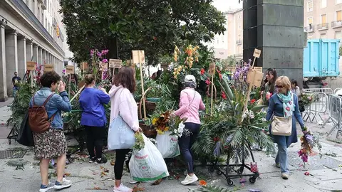 retirada-flores-manto-virgen-16