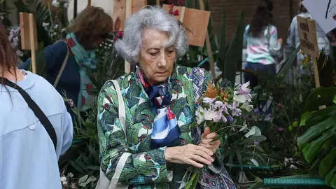 retirada-flores-manto-virgen-20
