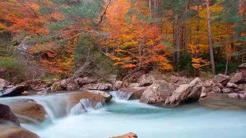 En la Selva de Oza hay gran cantidad de rutas para disfrutar del oto&ntilde;o en todo su esplendor. Foto: selvadeoza.es