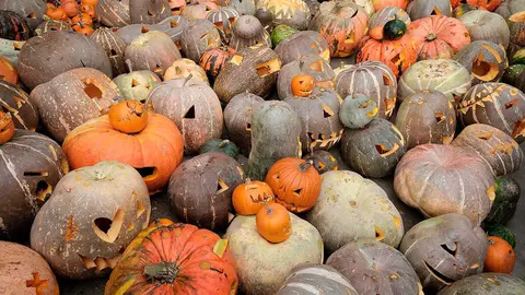 trasmoz-animas-calabazas
