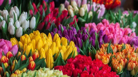 flores-cementerio-torrero-zaragoza-comprar
