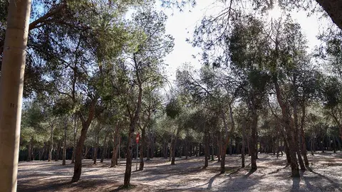 pinares-venecia-parque-atracciones-protestas-vecinales-zaragoza