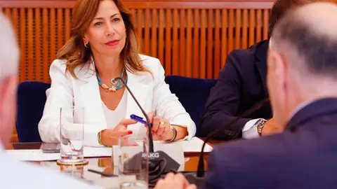 Natalia Chueca, frente a Fernando Beltr&aacute;n, durante la &uacute;ltima Junta de Seguridad por las pasadas fiestas del Pilar. Foto: Ayuntamiento Zaragoza