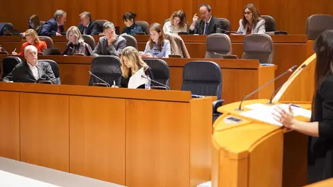 Vaquero (primera fila) en el Pleno. Foto: Cortes de Arag&oacute;n