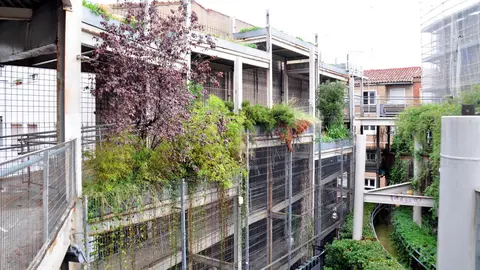 Zaragoza transformar&aacute; el Jard&iacute;n Vertical de Delicias en un innovador Bosque Vertical con IA