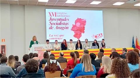 Intervenci&oacute;n-Pilar-Alegr&iacute;a-en-JSA