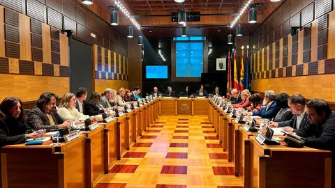 Pleno de Huesca. Foto: Ayuntamiento de Huesca