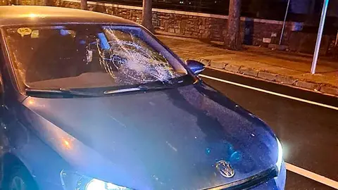Una ni&ntilde;a fue atropellada mientras cruzaba un paso de peatones en Jaca. Fuente: Polic&iacute;a Local