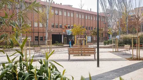 La plaza cuenta con nuevo arbolado