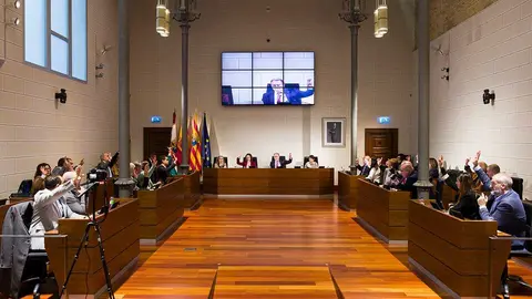 Pleno de la DPZ este viernes. Foto: DPZ