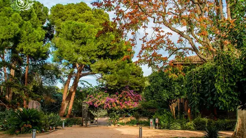 Aspecto del Jard&iacute;n Bot&aacute;nico antes de su remodelaci&oacute;n. 09-11-2022. Fotograf&iacute;a Jos&eacute; Luis De Dios para nuestro grupo de Facebook Fotos Actuales de Zaragoza