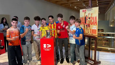 Copa del rey voleibol