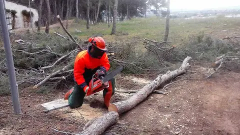En imagen de archivo, pr&aacute;cticas de alumnos de gesti&oacute;n forestal.