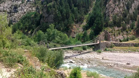 puente-janovas