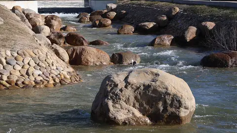 canal-aguas-bravas-6