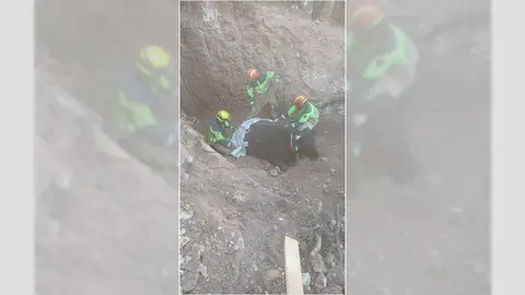 Bomberos de Diputaci&oacute;n de Teruel tuvieron que sacarla 4 metros hasta afuera | Foto: Diputaci&oacute;n de teruel