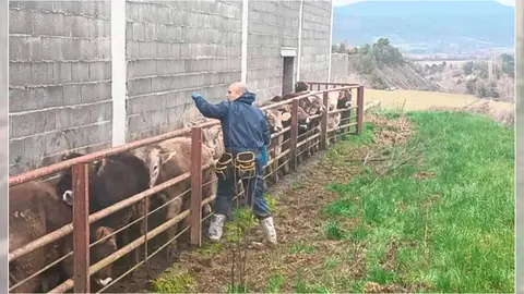 (Foto: Departamento de Agricultura, Ganader&iacute;a y Alimentaci&oacute;n)